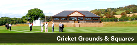Cricket Grounds & Squares