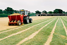 Topdressing with approved sand
